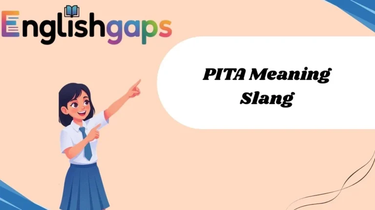 PITA Meaning Slang