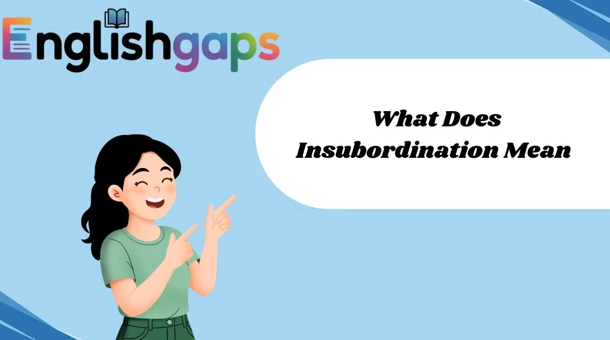 What Does Insubordination Mean
