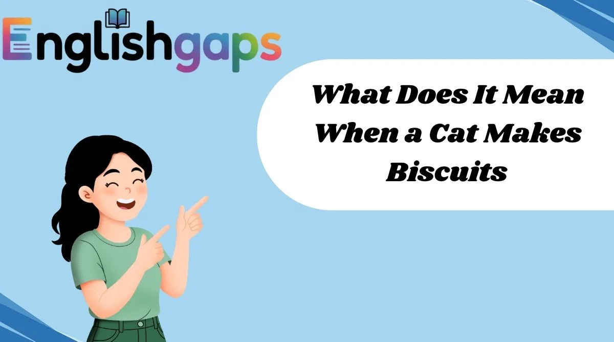 What Does It Mean When a Cat Makes Biscuits