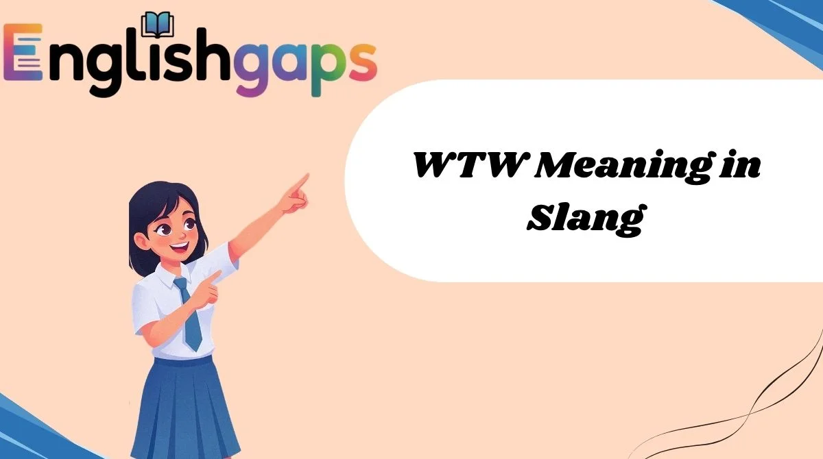 WTW Meaning in Slang