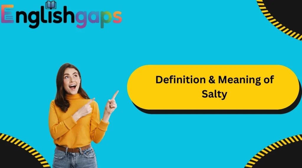 Definition & Meaning of Salty