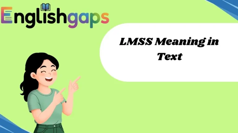 LMSS Meaning in Text
