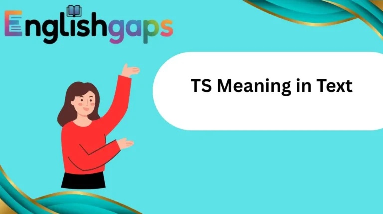 TS Meaning in Text
